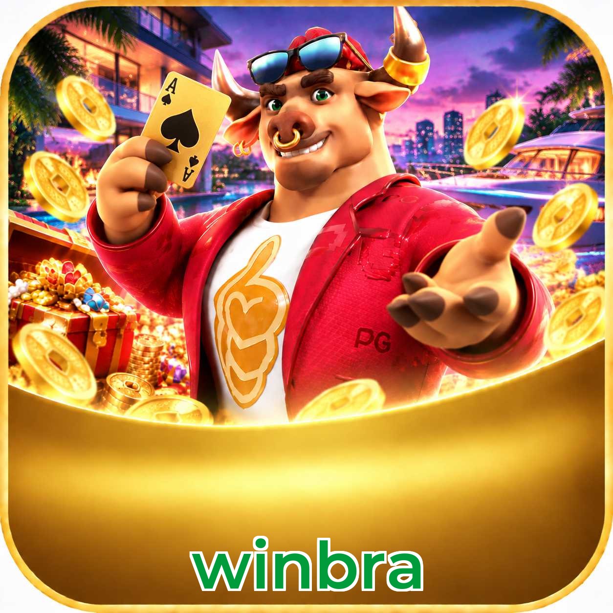 winbra Interface