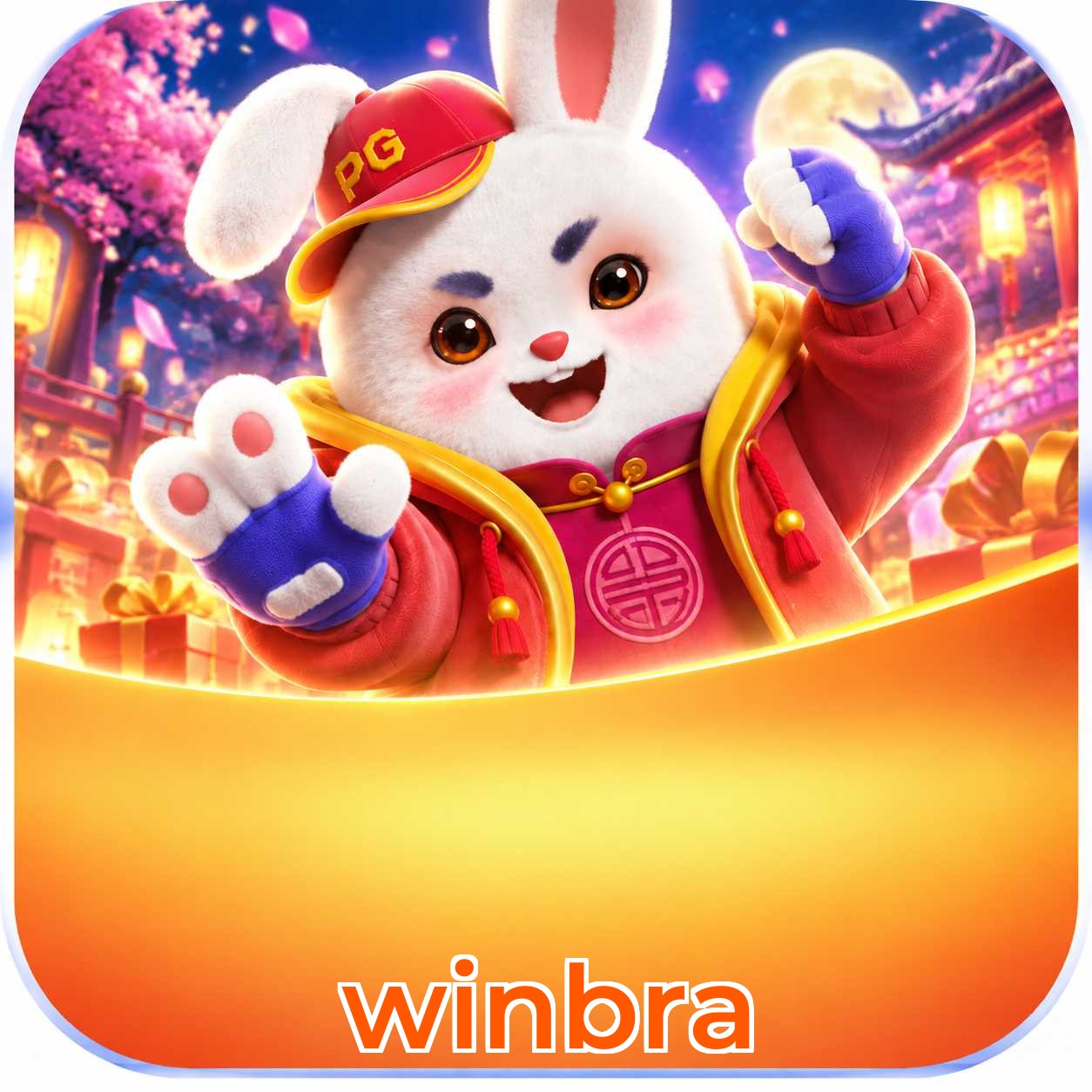 winbra System Requirements