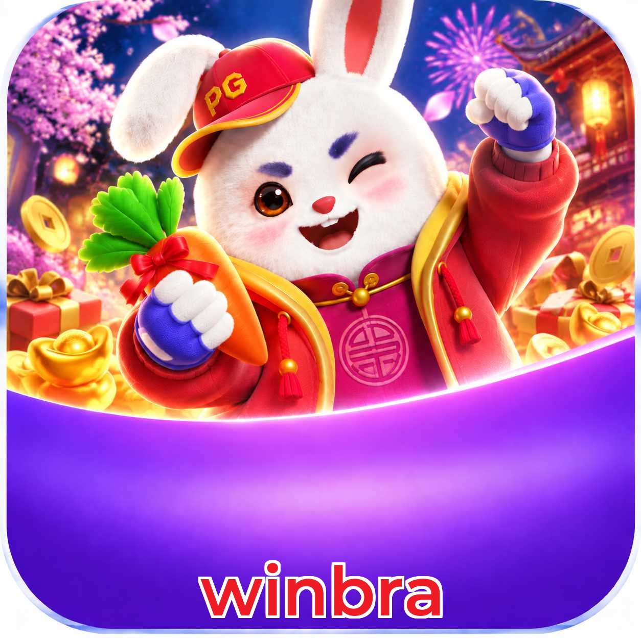 winbra Troubleshooting