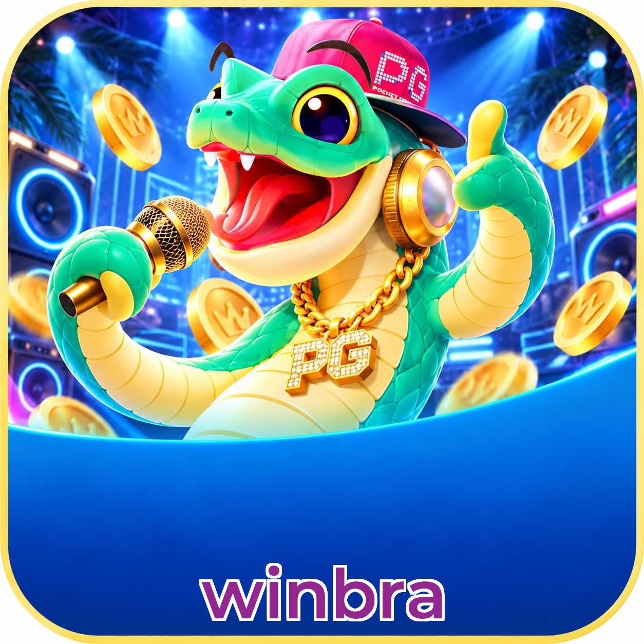 winbra Erros de Login