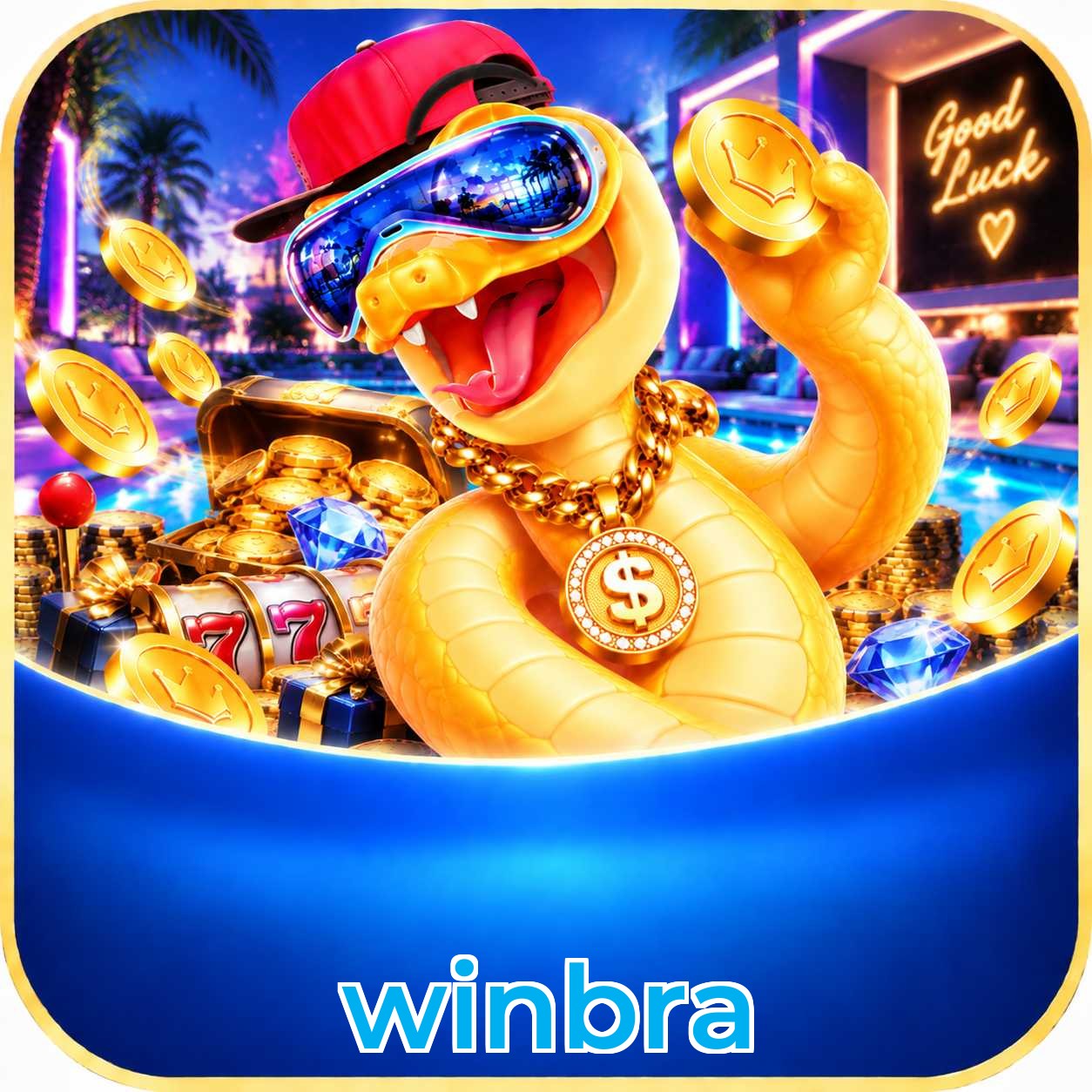 winbra KYC Verification