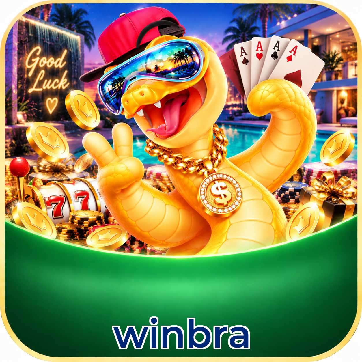 winbra erros de instalação e correção
